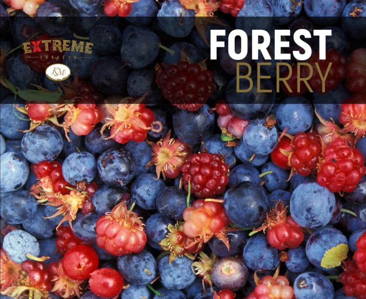 Табак Extreme Strong - Forest Berry (Ягодный микс) 50 гр