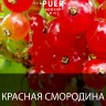 Табак Puer - Monastic berry (Красная Смородина) 100 гр