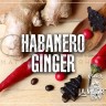 Табак Cobra La Muerte - Habanero Ginger (Имбирь с перцем Хабанеро) 200 гр