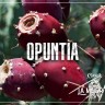 Табак Cobra La Muerte - Opuntia (Кактусоваяуша) 200 гр
