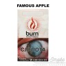 Табак Burn - Famous Apple (Ледяное Яблоко) 100 гр