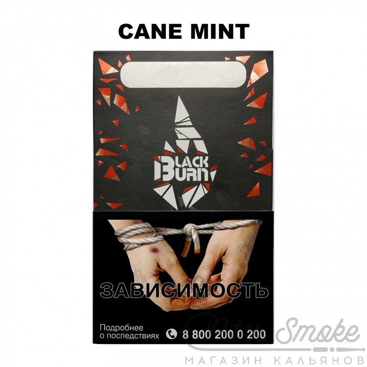 Табак Black Burn - Cane Mint (Тростниковая мята) 100 гр