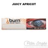 Табак Burn - Juicy Apricot (Спелый слакдий абрикос) 20 гр