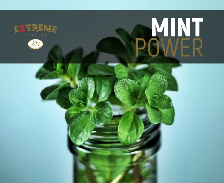 Табак Extreme Medium - Mint Power (Мята) 50 гр